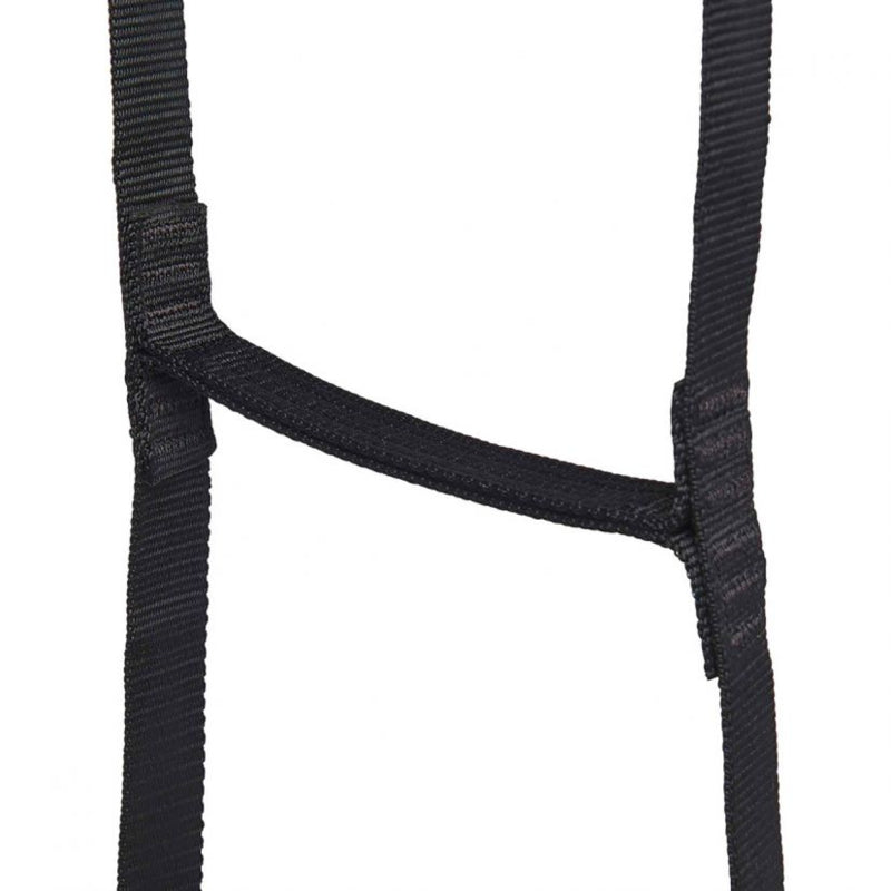 BD Stepup 6 ladder